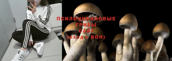 эйфоретик Белокуриха